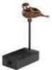 Expedite Prowler Bait & Digital Caller Bird X